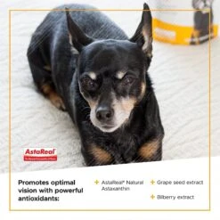 VetriScience Golden Years Chicken Flavor Clear & Bright Chew Supplement For Dogs, 60 Count -Pet Wellness 504342 PT3. AC SS1800 V1648683692