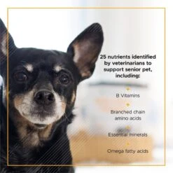 VetriScience Golden Years Chicken Flavor Energize & Thrive Chew Supplement For Senior Dogs, 60 Count -Pet Wellness 504366 PT3. AC SS1800 V1648677732