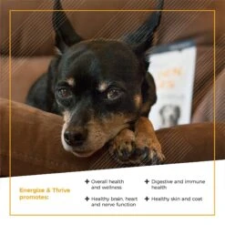 VetriScience Golden Years Chicken Flavor Energize & Thrive Chew Supplement For Senior Dogs, 60 Count -Pet Wellness 504366 PT4. AC SS1800 V1648682511