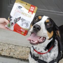 Ark Naturals Joint Rescue Beef Flavored Soft Chew Joint Supplement For Dogs 9 Ark Naturals Joint Rescue Beef Flavored Soft Chew Joint Supplement For Dogs -Pet Wellness 50451 PT2. AC SS1800 V1696880608