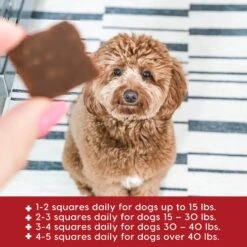 Ark Naturals Joint Rescue Beef Flavored Soft Chew Joint Supplement For Dogs 10 Ark Naturals Joint Rescue Beef Flavored Soft Chew Joint Supplement For Dogs -Pet Wellness 50451 PT3. AC SS1800 V1696875442