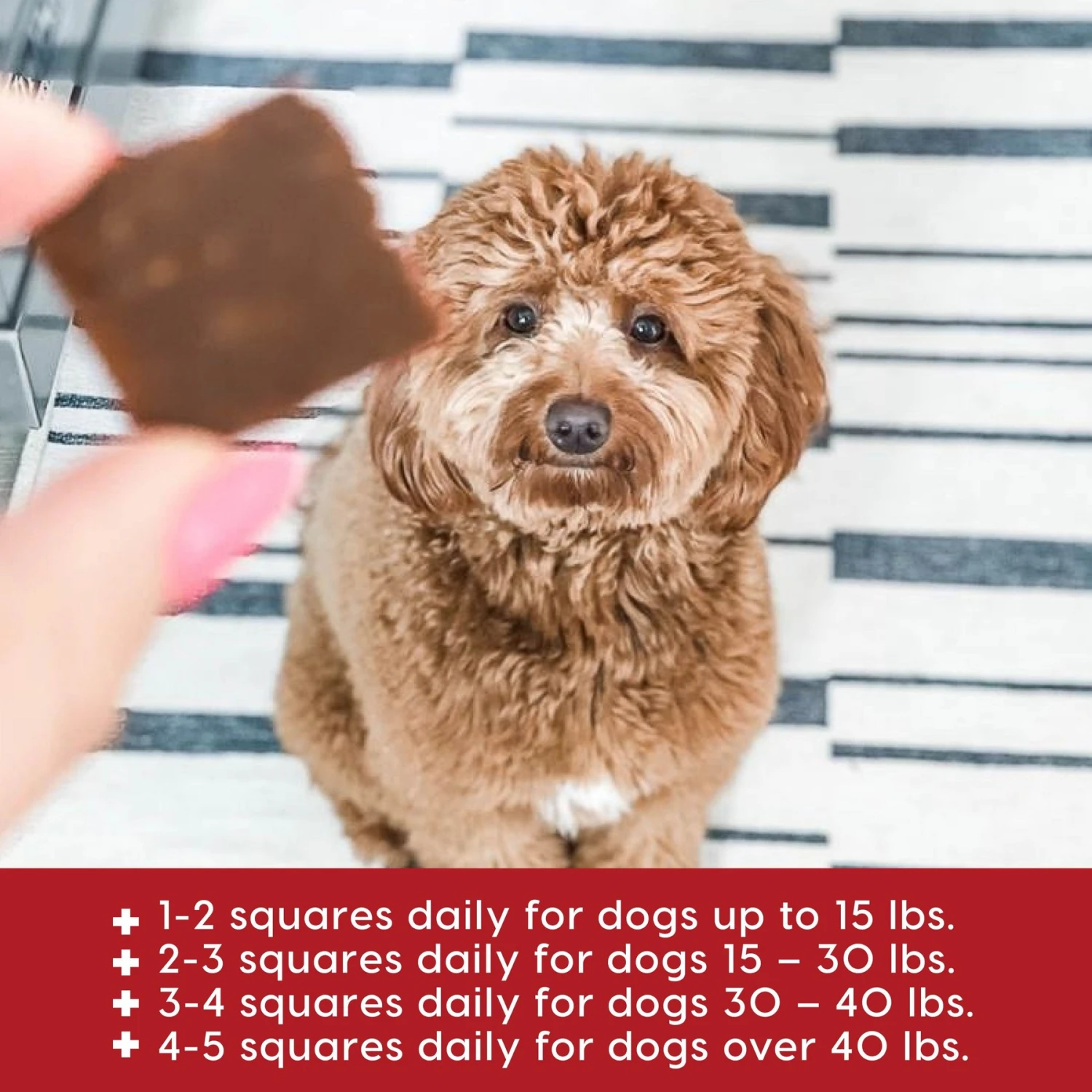 Ark Naturals Joint Rescue Beef Flavored Soft Chew Joint Supplement For Dogs 4 Ark Naturals Joint Rescue Beef Flavored Soft Chew Joint Supplement For Dogs - Image 4