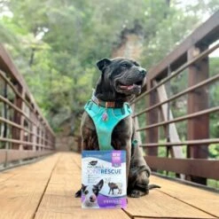 Ark Naturals Joint Rescue Venison Flavor Soft Chew Joint Supplement For Dogs -Pet Wellness 50453 PT2. AC SS1800 V1696878762