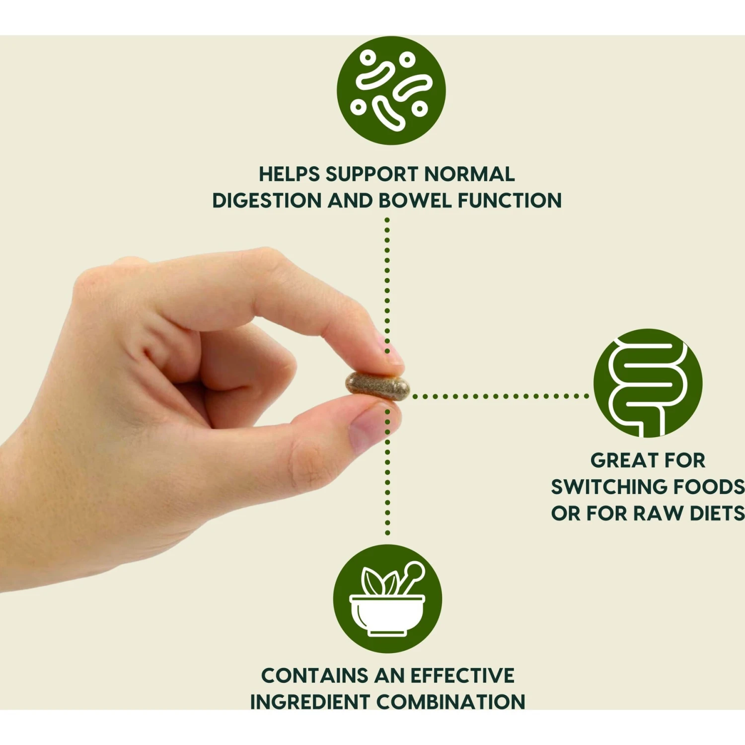 Ark Naturals Gentle Digest Dog & Cat Capsules 2 Ark Naturals Gentle Digest Dog & Cat Capsules - Image 2