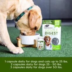Ark Naturals Gentle Digest Dog & Cat Capsules 12 Ark Naturals Gentle Digest Dog & Cat Capsules -Pet Wellness 50455 PT6. AC SS1800 V1696873631