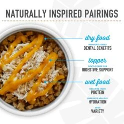 Tiki Dog Taste Of Spain! Grain-Free Chicken & Shrimp Paella Chunks In Gravy Canned Dog Food, 12-oz, Case Of 8 -Pet Wellness 505338 PT6. AC SS1800 V1648580214