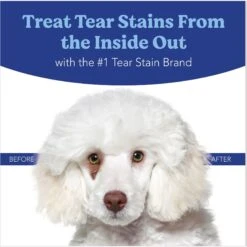Angels' Eyes Natural Sweet Potato Flavored Powder Tear Stain Supplement For Dogs & Cats 13 Angels' Eyes Natural Sweet Potato Flavored Powder Tear Stain Supplement For Dogs & Cats -Pet Wellness 50544 PT6. AC SS1800 V1677269423