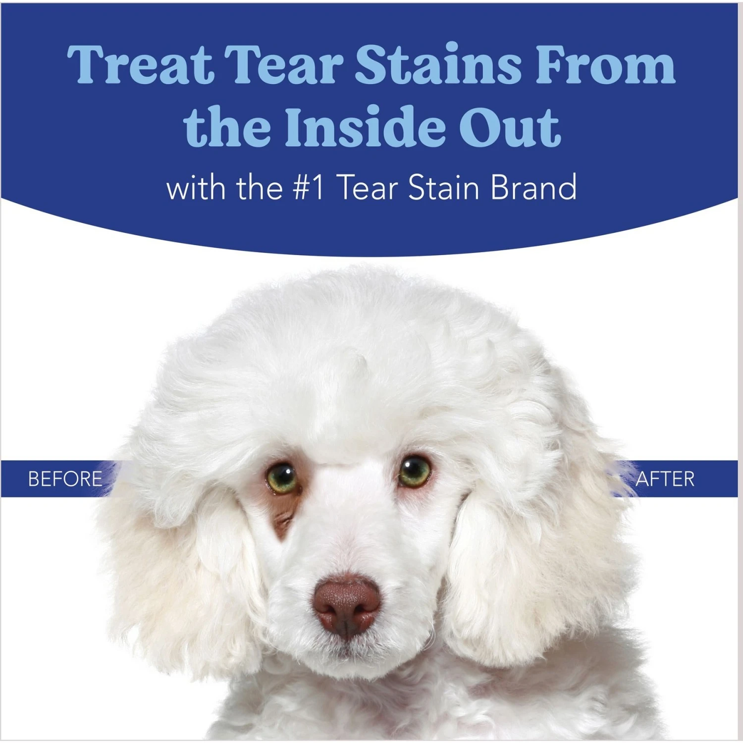 Angels' Eyes Natural Sweet Potato Flavored Powder Tear Stain Supplement For Dogs & Cats 7 Angels' Eyes Natural Sweet Potato Flavored Powder Tear Stain Supplement For Dogs & Cats - Image 7