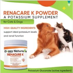 Pet Health Pharma RenaCare K Powder Kidney Cat & Dog Supplement, 4.2-oz 12 Pet Health Pharma RenaCare K Powder Kidney Cat & Dog Supplement, 4.2-oz -Pet Wellness 506034 PT3. AC SS1800 V1672342668