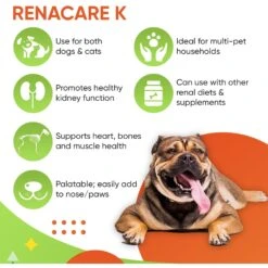 Pet Health Pharma RenaCare K Powder Kidney Cat & Dog Supplement, 4.2-oz 15 Pet Health Pharma RenaCare K Powder Kidney Cat & Dog Supplement, 4.2-oz -Pet Wellness 506034 PT6. AC SS1800 V1672342667