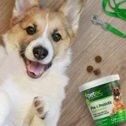 PetNC Natural Care Pre & Probiotic Soft Chews Digestive Supplement For Dogs, 120 Count 10 PetNC Natural Care Pre & Probiotic Soft Chews Digestive Supplement For Dogs, 120 Count -Pet Wellness 506706 PT3. AC SS1800 V1648243595