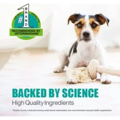 Nutramax Hip & Joint Dasuquin Soft Chews Joint Supplement For Small To Medium Dogs -Pet Wellness 50685 PT3. AC SS1800 V1668631464