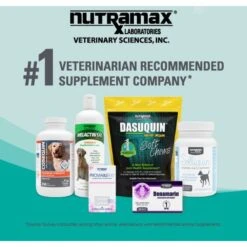 Nutramax Dasuquin Hip & Joint Chewable Tablets Joint Supplement For Small & Medium Dogs -Pet Wellness 50687 PT7. AC SS1800 V1673986889