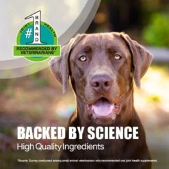 Nutramax Dasuquin Hip & Joint Chewable Tablets Joint Supplement For Large Dogs -Pet Wellness 50688 PT3. AC SS1800 V1673986886