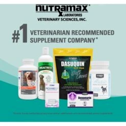 Nutramax Dasuquin Hip & Joint Chewable Tablets Joint Supplement For Large Dogs -Pet Wellness 50688 PT7. AC SS1800 V1673986949