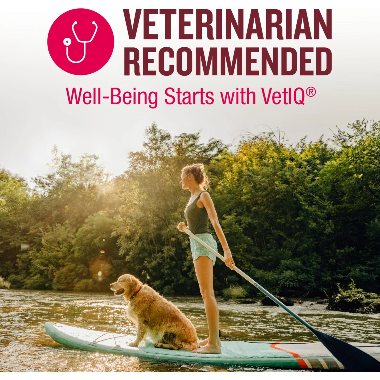 VetIQ 5-N-One Soft Chew Multivitamin For Dogs, 60 Count 3 VetIQ 5-N-One Soft Chew Multivitamin For Dogs, 60 Count - Image 3