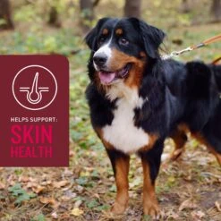 VetIQ 5-N-One Soft Chew Multivitamin For Dogs, 60 Count 15 VetIQ 5-N-One Soft Chew Multivitamin For Dogs, 60 Count -Pet Wellness 507022 PT6. AC SS1800 V1696538544