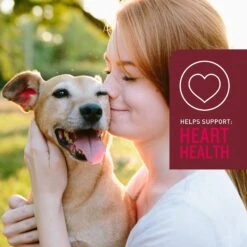 VetIQ 5-N-One Soft Chew Multivitamin For Dogs, 60 Count 16 VetIQ 5-N-One Soft Chew Multivitamin For Dogs, 60 Count -Pet Wellness 507022 PT7. AC SS1800 V1696540849