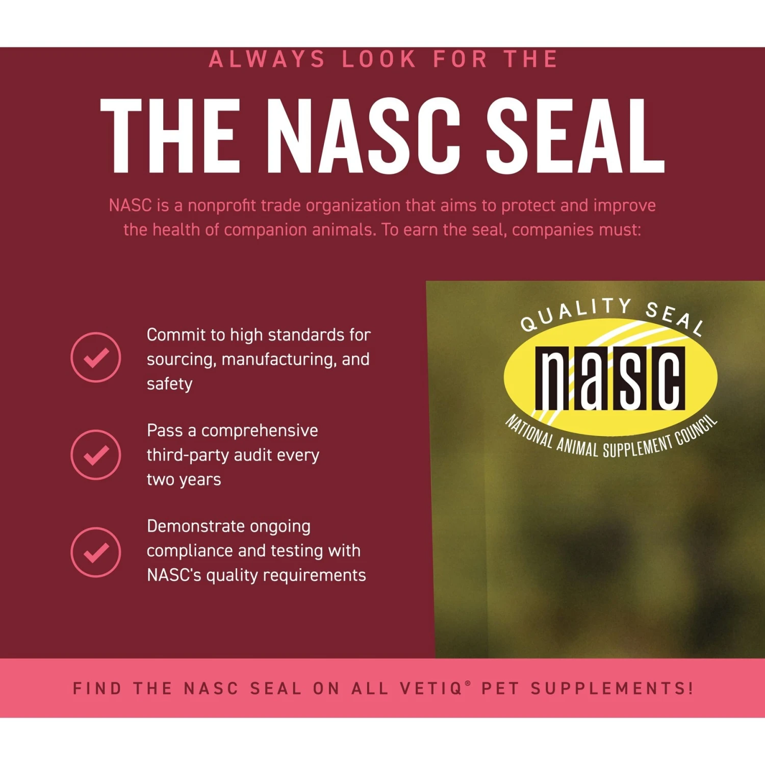 VetIQ 5-N-One Soft Chew Multivitamin For Dogs, 60 Count 9 VetIQ 5-N-One Soft Chew Multivitamin For Dogs, 60 Count - Image 9