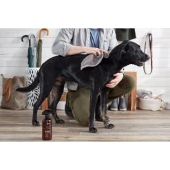 The Spruce Waterless Fresh Pet Wash No Rinse Moisturizing Cat & Dog Shampoo, 17-oz Bottle, 2 Pack -Pet Wellness 507238 PT4. AC SS1800 V1652742382