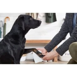 The Spruce Waterless Lavender Pet Wash No Rinse Moisturizing Cat & Dog Shampoo, 17-oz Bottle, 2 Pack -Pet Wellness 507270 PT6. AC SS1800 V1652768515