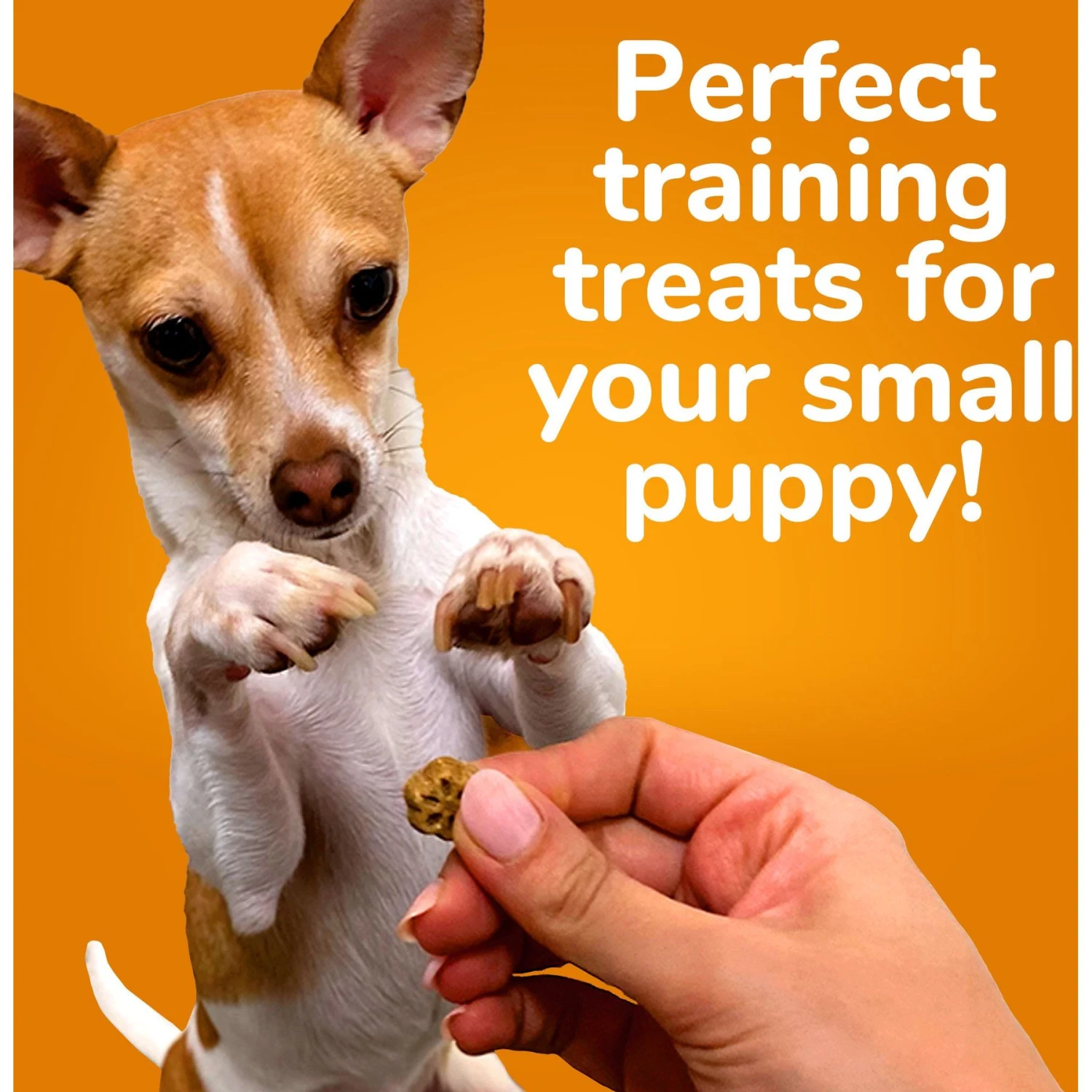 Fruitables Skinny Minis Pumpkin & Berry Flavor Dog Treats 2 Fruitables Skinny Minis Pumpkin & Berry Flavor Dog Treats - Image 2