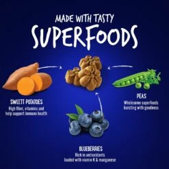 Fruitables Skinny Minis Pumpkin & Berry Flavor Dog Treats 10 Fruitables Skinny Minis Pumpkin & Berry Flavor Dog Treats -Pet Wellness 50835 PT4. AC SS1800 V1662742305