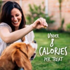 Fruitables Pumpkin & Blueberry Flavor Dog Treats -Pet Wellness 50845 PT5. AC SS1800 V1594328452