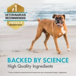 Nutramax Welactin Daily Omega-3 Soft Chews Skin & Coat Supplement For Dogs -Pet Wellness 508862 PT3. AC SS1800 V1668631465