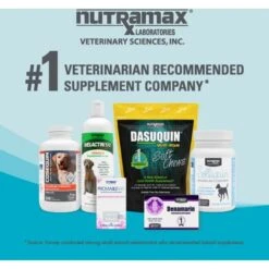 Nutramax Welactin Daily Omega-3 Soft Chews Skin & Coat Supplement For Dogs -Pet Wellness 508862 PT7. AC SS1800 V1668633692