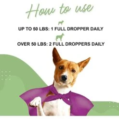 Wonder Paws Milk Thistle Liver & Kidney Health Liquid Supplement For Dogs, 2-oz Bottle -Pet Wellness 509630 PT4. AC SS1800 V1648695683