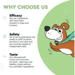 Wonder Paws Milk Thistle Liver & Kidney Health Liquid Supplement For Dogs, 2-oz Bottle -Pet Wellness 509630 PT5. AC SS1800 V1648686392