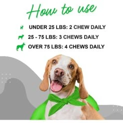 Wonder Paws Hip & Joint Soft Chews Supplement For Dogs, 90 Count 10 Wonder Paws Hip & Joint Soft Chews Supplement For Dogs, 90 Count -Pet Wellness 509646 PT3. AC SS1800 V1648669887