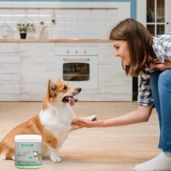 Wonder Paws Hip & Joint Soft Chews Supplement For Dogs, 90 Count 11 Wonder Paws Hip & Joint Soft Chews Supplement For Dogs, 90 Count -Pet Wellness 509646 PT4. AC SS1800 V1648700784