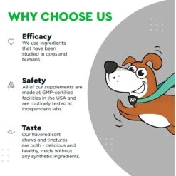 Wonder Paws Hip & Joint Soft Chews Supplement For Dogs, 90 Count 12 Wonder Paws Hip & Joint Soft Chews Supplement For Dogs, 90 Count -Pet Wellness 509646 PT5. AC SS1800 V1648670510