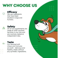 Wonder Paws Grass Hero Burn Spot Treatment & Urinary Health Soft Chews Supplement For Dogs, 60 Count -Pet Wellness 509662 PT6. AC SS1800 V1648677384