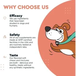 Wonder Paws Skin & Coat Soft Chews Supplement For Dogs, 70 Count -Pet Wellness 509678 PT4. AC SS1800 V1648677108