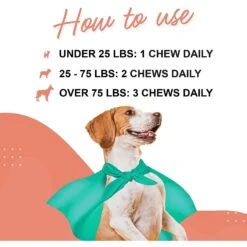 Wonder Paws Skin & Coat Soft Chews Supplement For Dogs, 70 Count -Pet Wellness 509678 PT6. AC SS1800 V1648670793