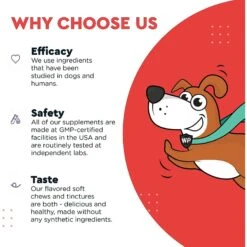 Wonder Paws Cardio Support Soft Chews Supplement For Dogs, 90 Count -Pet Wellness 509710 PT5. AC SS1800 V1648683994