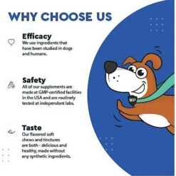 Wonder Paws Daily Multi 21 Multivitamin Soft Chews Supplement For Dogs, 60 Count 9 Wonder Paws Daily Multi 21 Multivitamin Soft Chews Supplement For Dogs, 60 Count -Pet Wellness 509726 PT3. AC SS1800 V1648668999