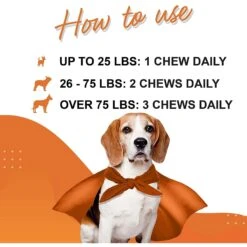 Wonder Paws Probiotic Superhero Chews Duck Flavor Supplement For Dogs, 90 Count -Pet Wellness 509758 PT3. AC SS1800 V1648684599