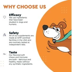 Wonder Paws Probiotic Superhero Chews Duck Flavor Supplement For Dogs, 90 Count -Pet Wellness 509758 PT4. AC SS1800 V1648684304