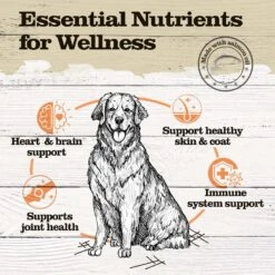 Dr. Pol Omega 3 Fish Oil With EPA & DHA Dog Supplement, 8-oz Bottle -Pet Wellness 510638 PT4. AC SS1800 V1648676204