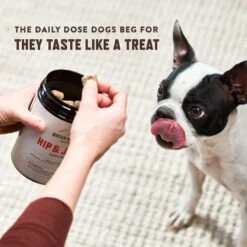 Rocco & Roxie Supply Co. Duck Flavor Hip & Joint Dog Supplement, 120 Count 12 Rocco & Roxie Supply Co. Duck Flavor Hip & Joint Dog Supplement, 120 Count -Pet Wellness 511494 PT5. AC SS1800 V1648682482