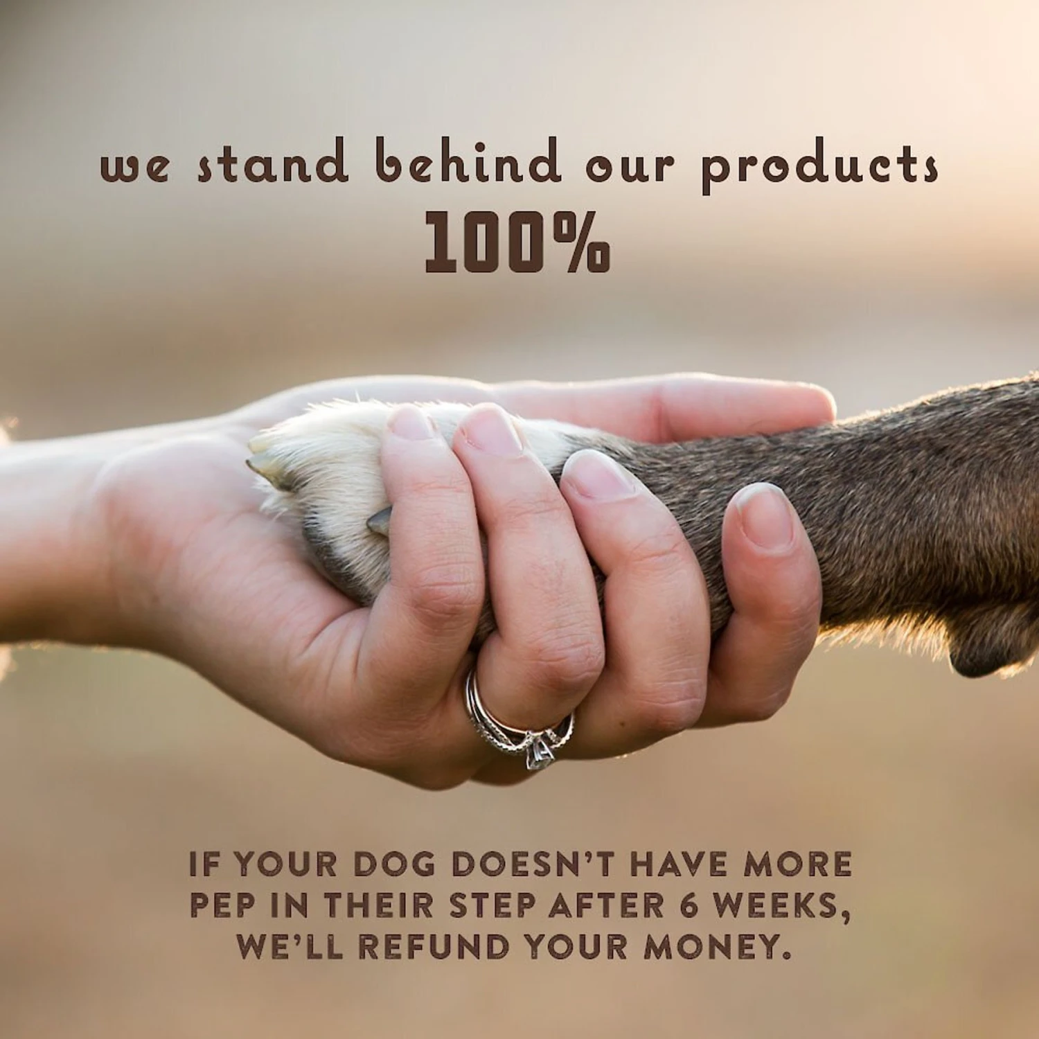 Rocco & Roxie Supply Co. Duck Flavor Hip & Joint Dog Supplement, 120 Count 7 Rocco & Roxie Supply Co. Duck Flavor Hip & Joint Dog Supplement, 120 Count - Image 7