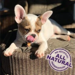 Old Mother Hubbard By Wellness Training Bitz Assorted Mix Natural Oven-Baked Biscuits Dog Treats -Pet Wellness 51166 PT3. AC SS1800 V1657657790