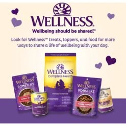 Old Mother Hubbard By Wellness Training Bitz Assorted Mix Natural Oven-Baked Biscuits Dog Treats -Pet Wellness 51166 PT4. AC SS1800 V1657657790