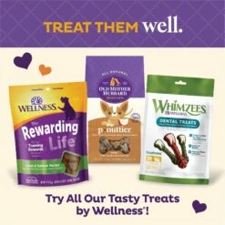Old Mother Hubbard By Wellness Training Bitz Assorted Mix Natural Oven-Baked Biscuits Dog Treats -Pet Wellness 51166 PT7. AC SS1800 V1657657789