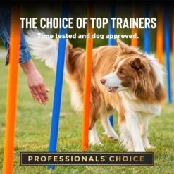 Cloud Star Crunchy Tricky Trainers Cheddar Flavor Dog Treats -Pet Wellness 51298 PT4. AC SS1800 V1624920789