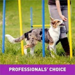 Cloud Star Crunchy Tricky Trainers Liver Flavor Dog Treats -Pet Wellness 51299 PT6. AC SS1800 V1624918103